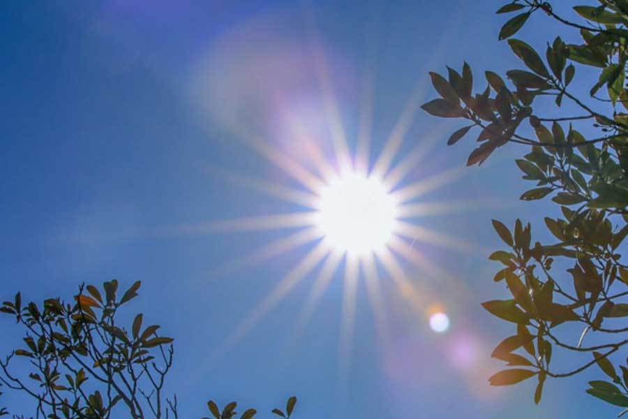 散场时, 孵化器, GO随选手