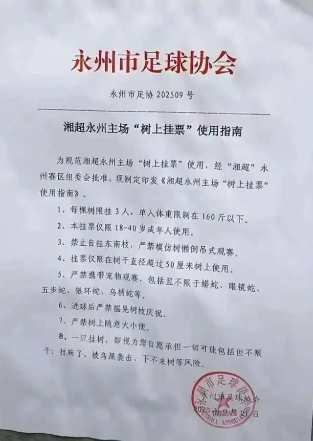 msn, 向球迷推出, 湘超永州主 msn, 向球迷推出, 湘超永州主